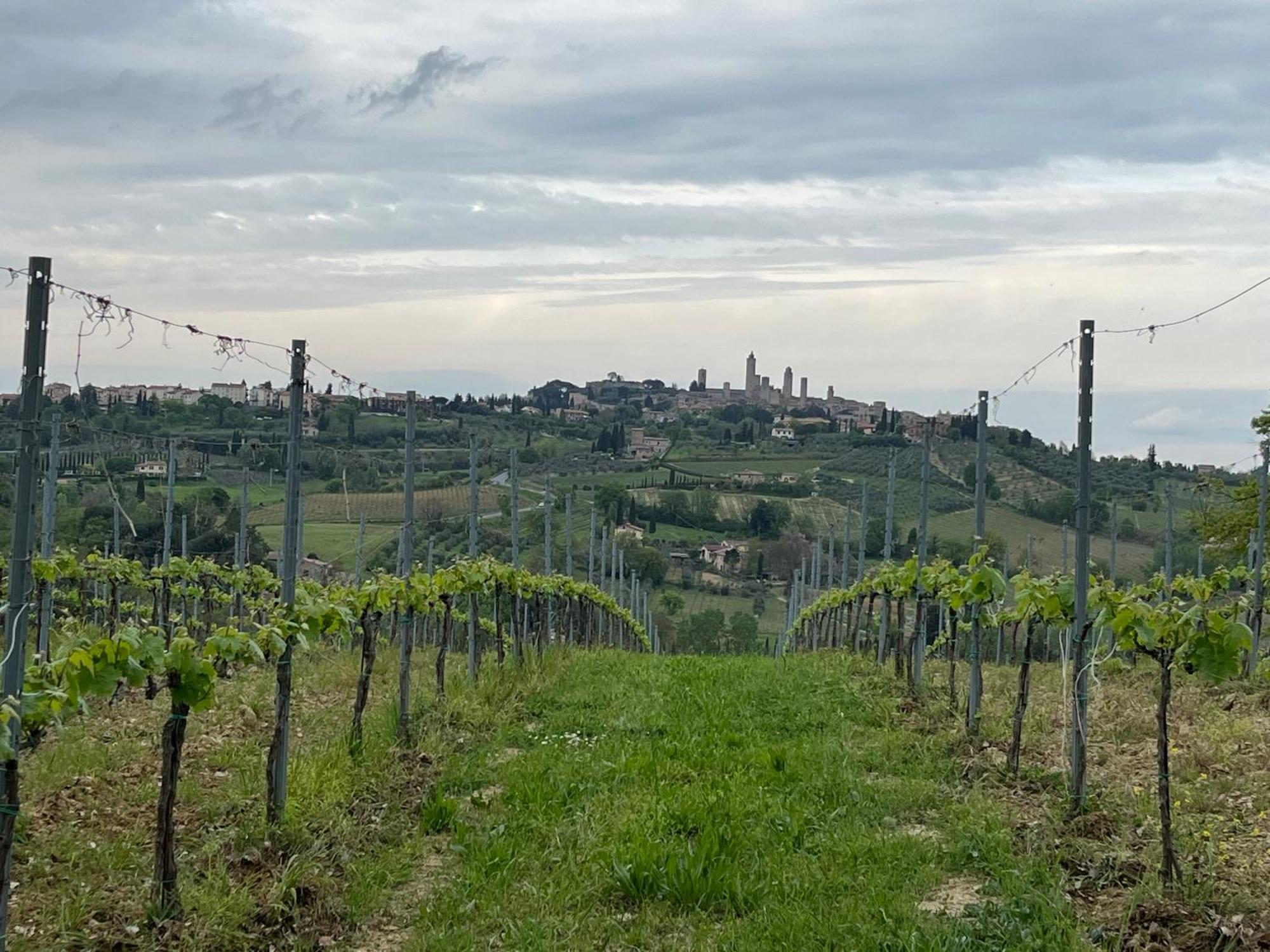 Podere Casanuova Сан-Джиминьяно Экстерьер фото