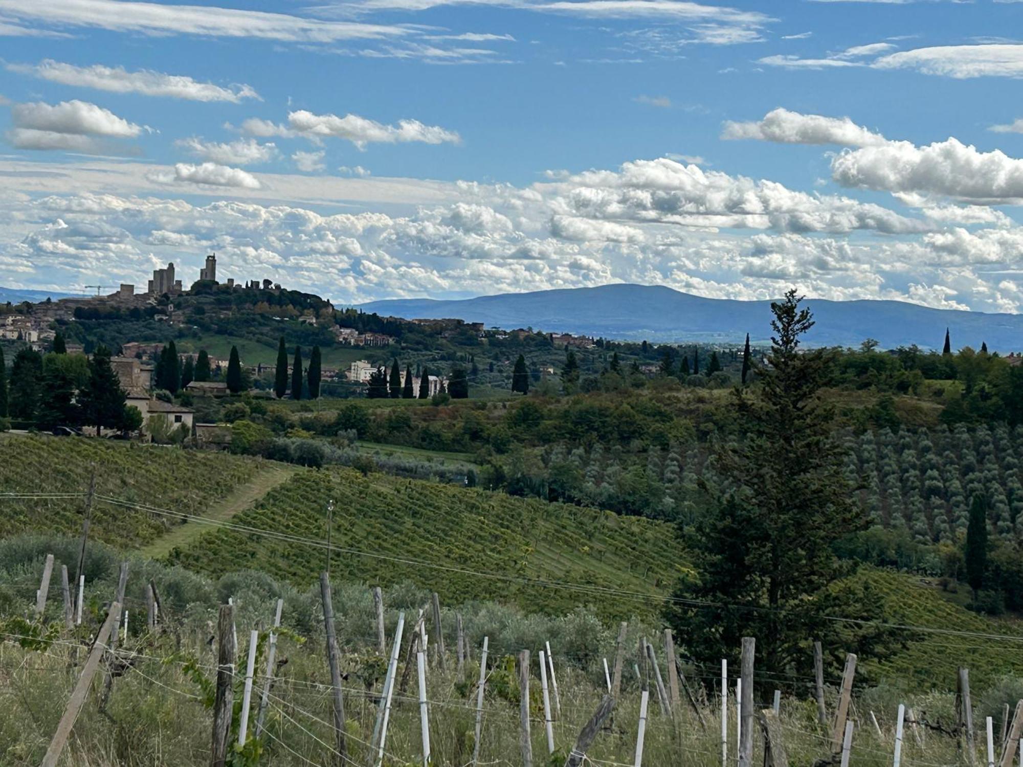 Podere Casanuova Сан-Джиминьяно Экстерьер фото