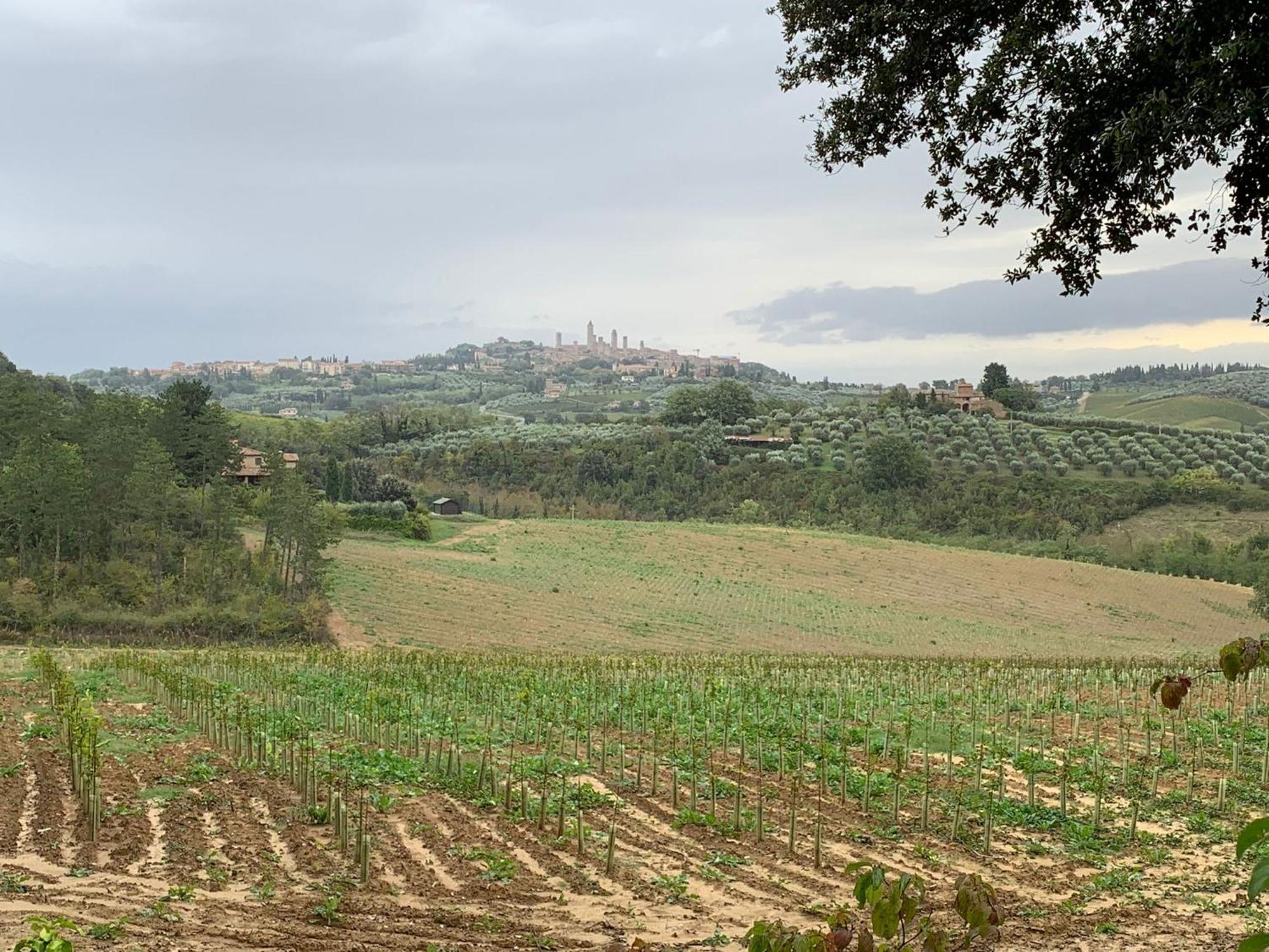 Podere Casanuova Сан-Джиминьяно Экстерьер фото